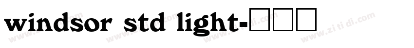 windsor std light字体转换